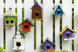 <p><strong>Create a bird house community.</strong> Bird houses don&#8217;t always have to be hanging from a tree or from a hook in the garden. Invite your feathery neighbors to move into a cozy bird house section of fencing.</p>
