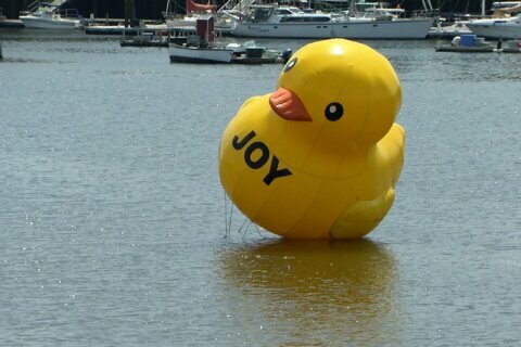 Giant rubber ducky takes flight; where will it land next?