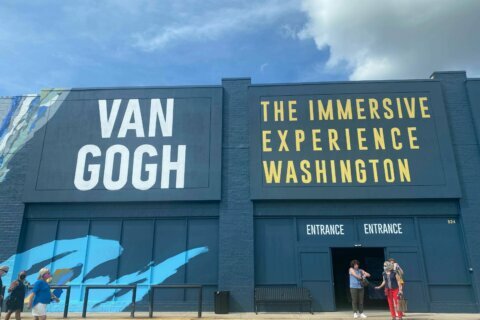 Immersive exhibit in DC lets you experience the world through eyes of Van Gogh