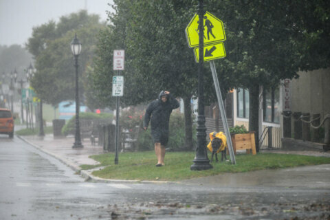 Man walking dog in the rain.