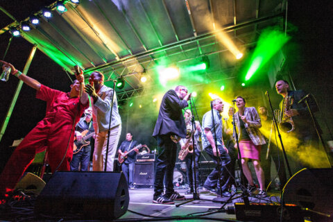Supernova International Ska Festival aims to bring bands and fans together in Virginia