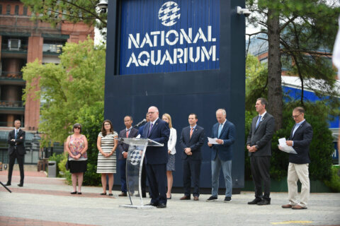National Aquarium marks 40 years bringing visitors to Baltimore’s Inner Harbor