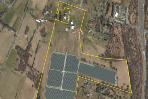 Betting the farm on solar energy in Maryland