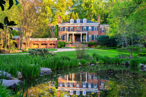 PHOTOS: DC sports magnate Ted Leonsis’ $14.7 million former McLean home up for sale