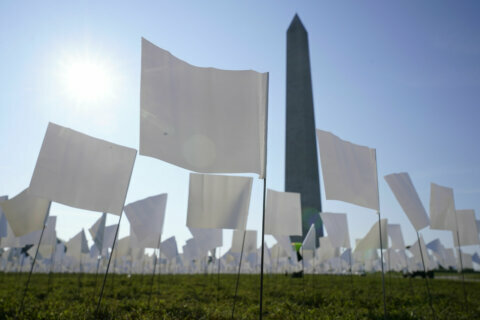 PHOTOS: 660,000 white flags on National Mall honor nation’s COVID victims