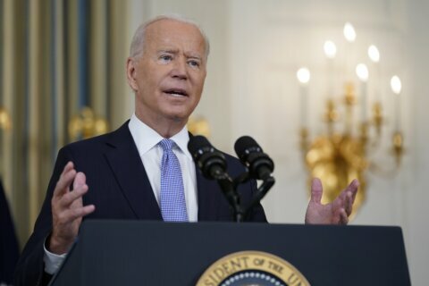 Biden’s plan: ‘Too big to fail’ can be too big to describe