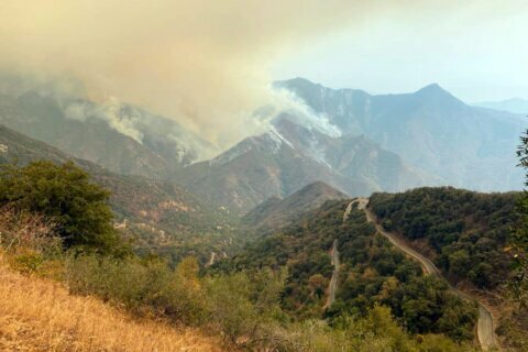 Fires shut Sequoia National Park, could threaten huge trees