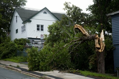 Hurricane Larry wipes out power, trees in Newfoundland