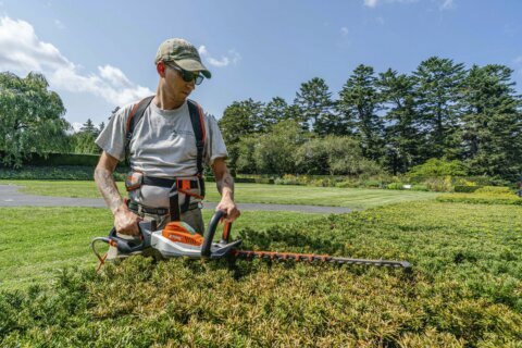 Blowers, mowers and more: American yards quietly go electric