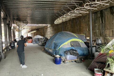 DC nonprofits partner to curb homelessness and aid survivors. DHS wants them to make budget cuts