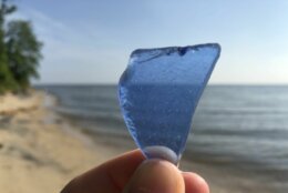 Chesapeake Bay's sea glass a treasure to many