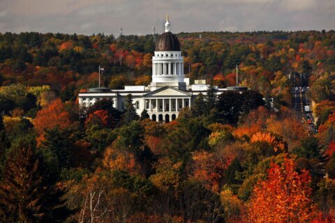 Why climate change is making it harder to chase fall foliage