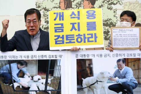 S. Korean leader’s review of ban on eating dog meat welcomed