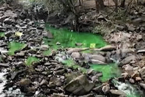 DC Water clears up concerns of green water flowing through Broad Branch