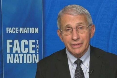 Fauci says it’s ‘too soon to tell’ whether to avoid Christmas gatherings