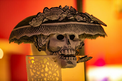 DC group invites everyone to grieve and celebrate Dia de los Muertos together