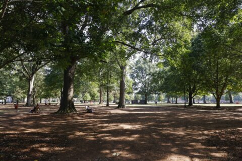 Body of missing student from Md. found after river search