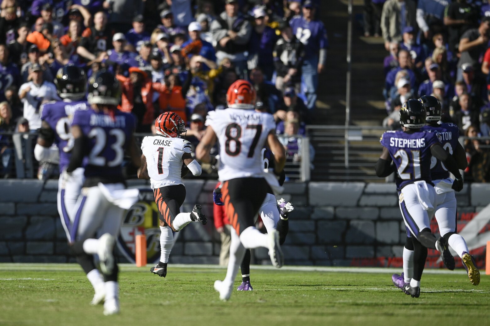 Cincinnati Bengals fly past the Baltimore Ravens 41-17 led by Joe