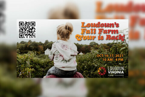 Loudoun Fall Farm Tour is back this October