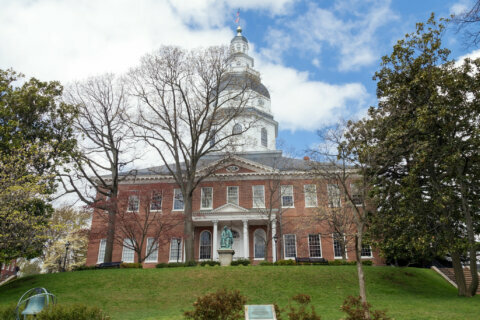Md. lawmakers introduce bills to bolster state cybersecurity