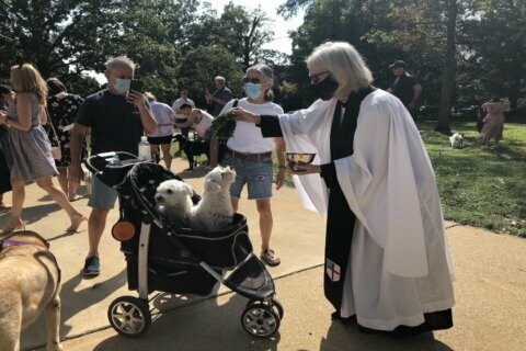 Washington National Cathedral ‘Blessing of the Animals’ held in person for first time since beginning of pandemic