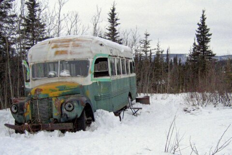 ‘Into the Wild’ bus on display during preservation work