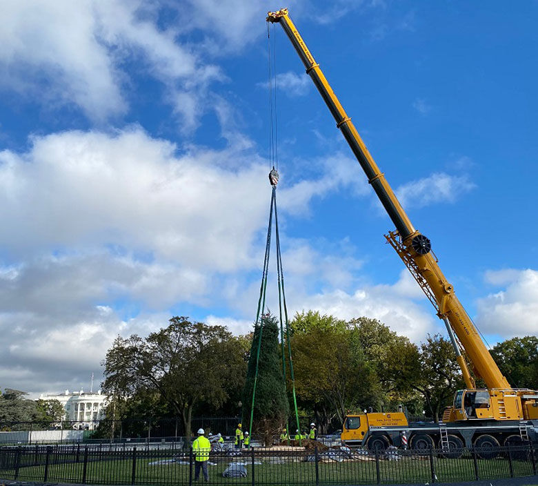 New National Christmas Tree planted in President’s Park WTOP News