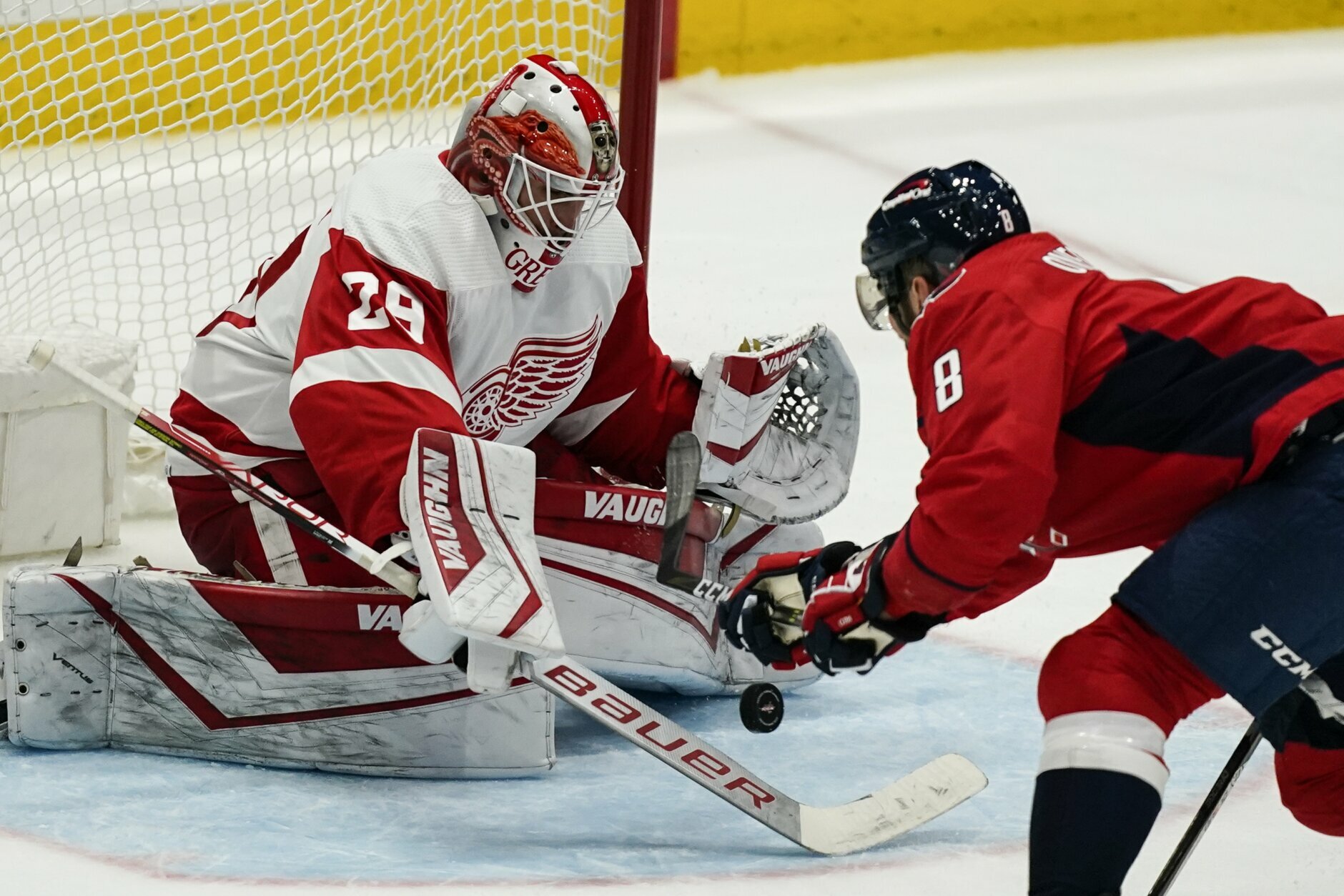 Red Wings F Michael Rasmussen (knee) likely done for year