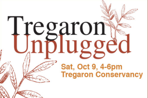 Washington Performing Arts presents outdoor music at Tregaron Conservancy
