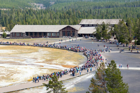 Yellowstone sets September and year-to-date attendance records