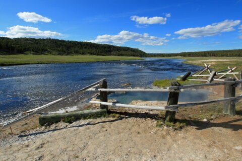 Woman suffers burns while trying to save dog from Yellowstone hot spring