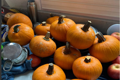 A DC woman had her pumpkins stolen. Now, an area restaurant is helping her make pie