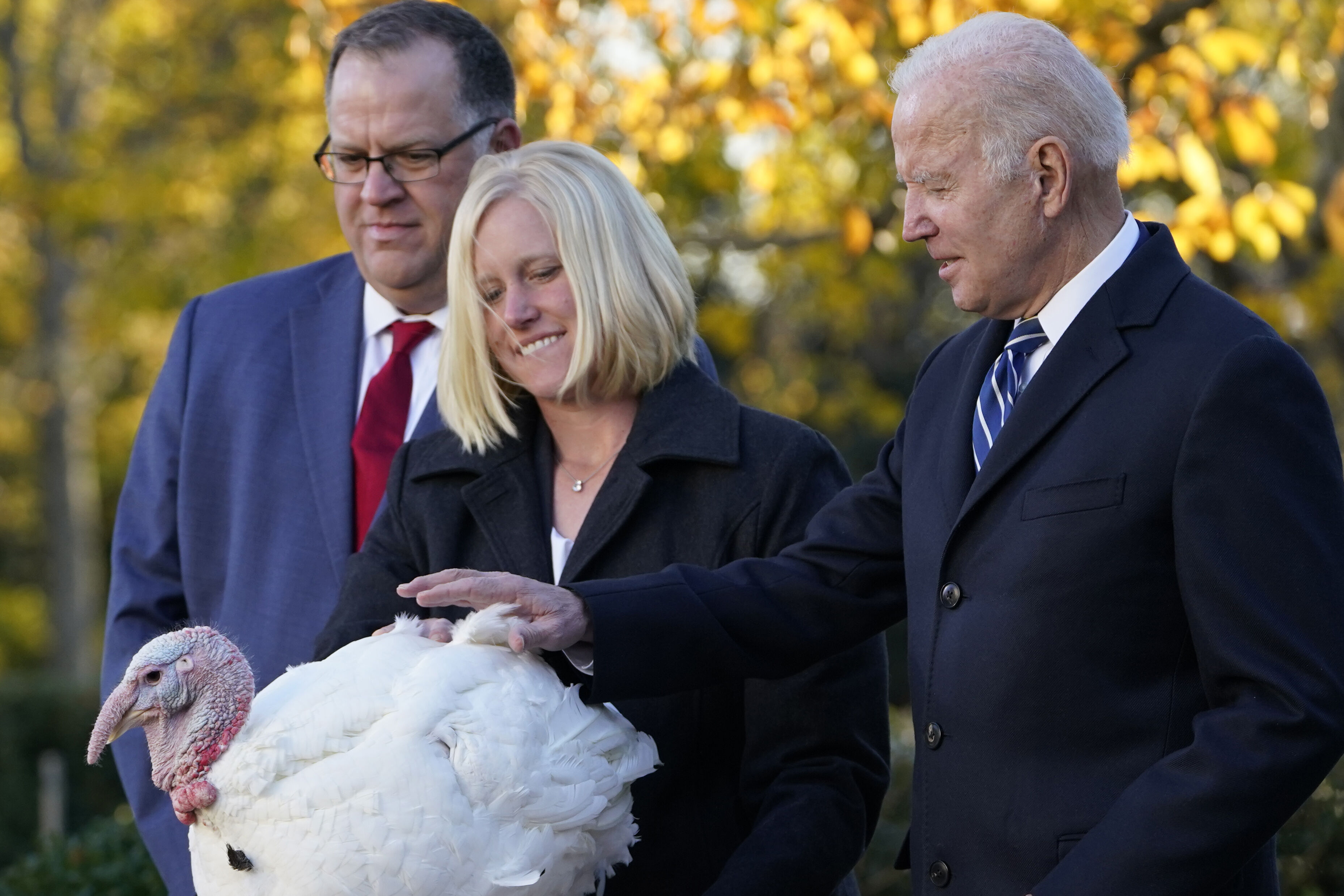 PHOTOS: President Biden Pardons Turkeys Peanut Butter And Jelly - WTOP News