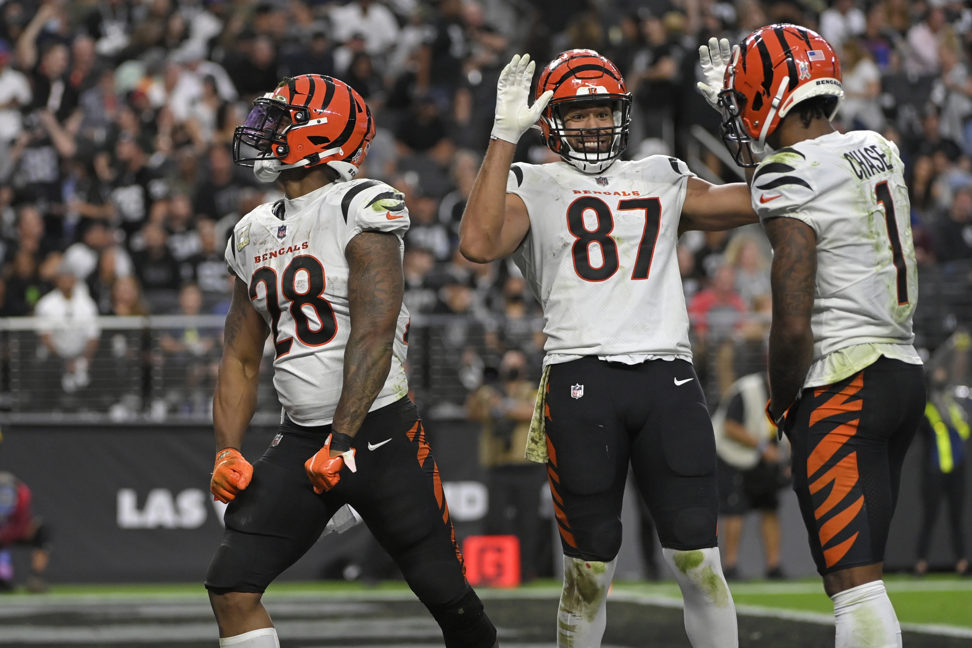 Cincinnati Bengals Playing In 4th AFC Title Game On Sunday, Eyeing