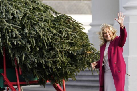 Bidens open holidays with Christmas tree and ‘friendsgiving’