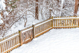 Wooden backyard fence of house with trees forest in neighborhood with snow covered ground during blizzard white storm snowflakes and small gate door