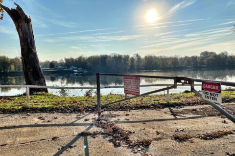 ‘Work it out:’ Loudoun Co. supervisors urge ferry operator, land owner to reach deal
