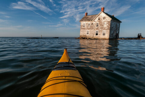 PHOTOS: Book peeks into Chesapeake Bay and its people