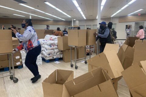 Volunteers distributing 4,000 boxes of food to DC and Maryland families in need