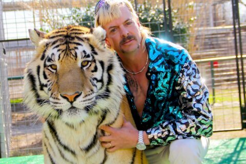 Review: ‘Tiger King 2’ lacks the roar of the bonkers original