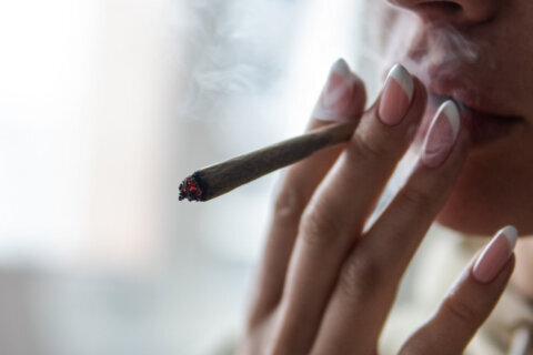 Using cannabis in pregnancy linked to aggression and anxiety in children, a study suggests