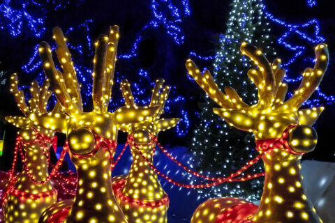 10 best holiday light displays to check out in the DMV