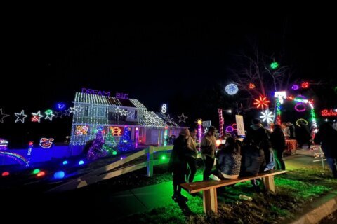 ‘Constant stream of people’: Ellicott City Lights features festive fun and a way to give back