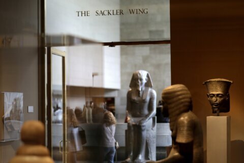 Metropolitan Museum of Art cuts Sackler name amid opioid ire