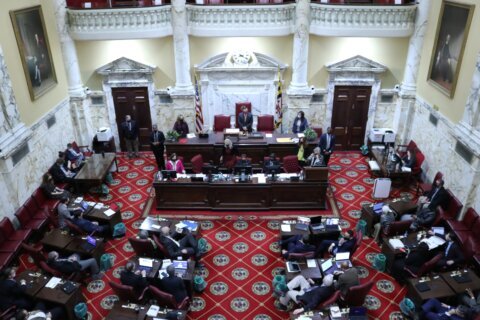 Maryland House passes abortion rights constitution amendment