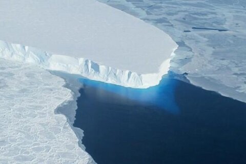‘Historic event’: Antarctica experiencing record-shattering warmth