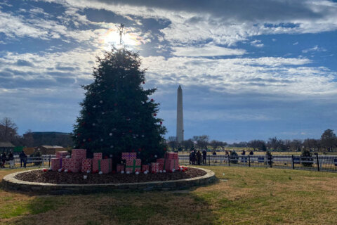 Great weather, Christmas cheer brings hundreds to the National Christmas Tree in DC