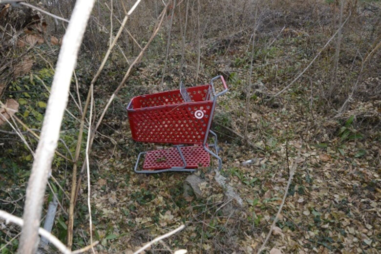 shopping cart found near human remains in Fairfax Co.