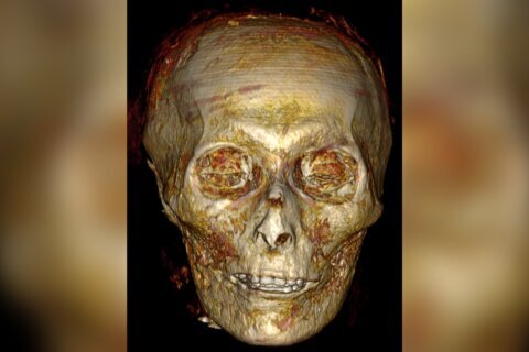 The 3,500-year-old mummy of an Egyptian king has been ‘digitally unwrapped’ for the first time