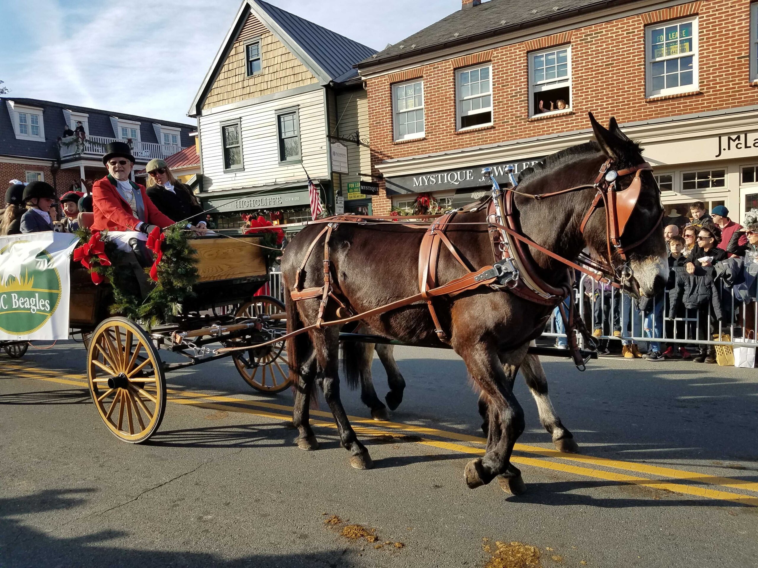 Middleburg Christmas Parade 2022 Vintage Cars, Furry Friends And Gov.-Elect Glenn Youngkin At Middleburg  Christmas Parade | Wtop News